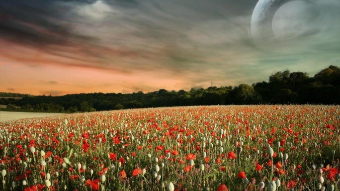 360 集团周鸿袆努力拼了 4 年,最后反而跌了近 4000 亿,其原因是什么?